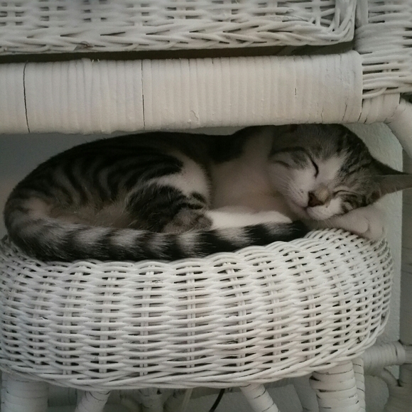 Meet your Posher, Karina - Picture 9 of 12